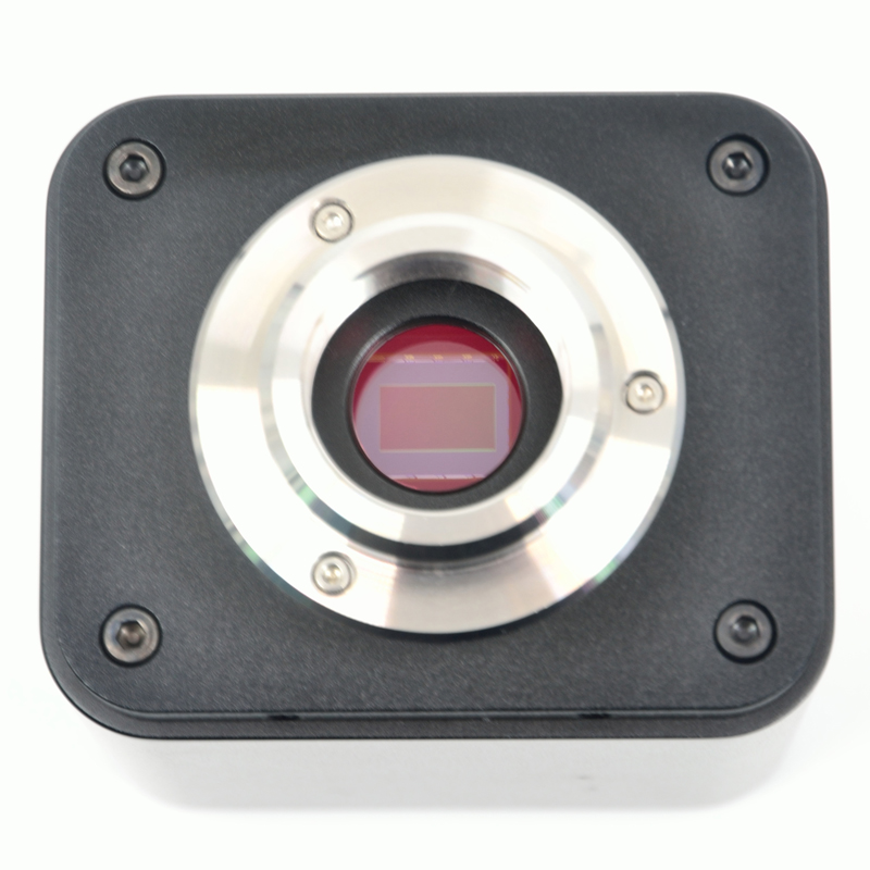 XCAMLITE4K8MP: fotocamera per  - 4K Microscope Camera Sony Sensor recensione e prezzo